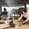 Người dân xã Toả Tình, huyện Tuần Giáo (Điện Biên) che chắn, đắp thêm chăn, đốt lửa giữ ấm cho đàn gia súc. (Ảnh: Phan Quân/TTXVN)