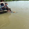 Ảnh minh họa. (Ảnh: Dương Chí Tưởng/TTXVN)