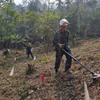 Đội rà phá vật cản thuộc Lữ đoàn 543 thực hiện rà phá bom mìn tại địa bàn huyện Vị Xuyên (tỉnh Hà Giang). (Ảnh: Đức Thọ/TTXVN)