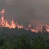 Cháy rừng lan rộng gần làng Lefkimmi, gần Alexandroupoli, phía Bắc Hy Lạp. (Ảnh: AFP/TTXVN)