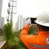EVNHANOI kiểm tra hành lang lưới điện tại quận Nam Từ Liêm. (Ảnh: PV/Vietnam+)