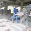 Công nhân bốc xếp ximăng thành phẩm. (Ảnh: Hoàng Nguyên/TTXVN)