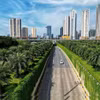 Cùng với mục tiêu của Chính phủ về việc trồng 1 tỷ cây xanh trong giai đoạn 2021-2025, thành phố Hà Nội đang nỗ lực trồng cây xanh nhằm cải thiện môi trường, vừa giúp giảm khói bụi, tiếng ồn, vừa nâng cao mỹ quan đô thị. (Ảnh: Tuấn Anh/TTXVN)