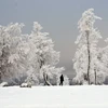 Tuyết phủ trắng xóa trên núi Kahler Asten ở gần Winterberg, Đức. (Ảnh: AFP/TTXVN)