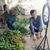 Người nông dân đẩy mạnh quảng bá, kết nối tiêu thụ nông sản qua các sàn thương mại điện tử. (Ảnh: Quang Quyết/TTXVN)