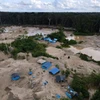 Trại của những người khai thác vàng ở Los Amigos, thuộc vùng Madre de Dios, Peru. (Nguồn: Reuters)