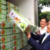 Lô xoài tượng da xanh đầu tiên của An Giang xuất sang thị trường Australia và Hoa Kỳ. (Ảnh: Thanh Sang/TTXVN)