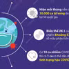 WHO: 10.000 ca tử vong do COVID-19 mỗi tháng trên thế giới