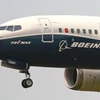 Máy bay 737 MAX 8 jet. (Nguồn: IC)