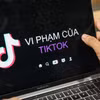 Ảnh minh họa. (Ảnh: Minh Sơn/Vietnam+)