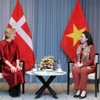 Phó Chủ tịch nước Võ Thị Ánh Xuân tiếp Chủ tịch Hội hữu nghị Đan Mạch - Việt Nam Trine Glue Đoàn. (Ảnh: An Đăng/TTXVN)
