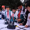 Học sinh trải nghiệm giáo dục STEM. (Ảnh: TTXVN)
