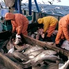 Đảo Greenland đình chỉ thỏa thuận đánh bắt cá với Nga