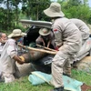 Đội rà phá bom mìn lưu động số 1 thuộc Tổ chức Cây hòa bình Việt Nam xử lý an toàn một quả bom lớn với trọng lượng khoảng 227kg, đường kính 274mm, chiều dài 1,54m được phát hiện tại mỏ đá thôn Lương Lễ, xã Tân Hợp, huyện miền núi Hướng Hóa, tỉnh Quảng Trị