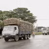 Bất chấp bảng hạn chế tải trọng phương tiện, nhiều xe chở nguyên liệu mía quá tải vẫn vô tư lưu thông. (Ảnh: Quang Thái/TTXVN)