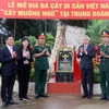Lễ mở bia đá cây di sản Việt Nam tại Trung đoàn 726. (Ảnh: TTXVN phát)