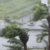 Gió mạnh kèm theo mưa do ảnh hưởng của bão Khanun tại Okinawa, Nhật Bản. (Ảnh: Kyodo/TTXVN)