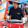 Ảnh minh họa. (Nguồn: TTXVN)