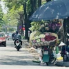 Bắc Bộ và Hà Nội sáng sớm có sương mù, trưa chiều nắng 29-32 độ C