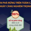 [Infographics] Thế giới sẽ phải trả giá nếu không ngăn chặn phá rừng
