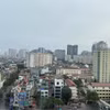 Hà Nội: Đấu giá một số thửa đất có giá hàng trăm triệu đồng mỗi m2