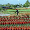 Sóc Trăng huy động trên 8.300 tỷ đồng xây dựng Nông thôn Mới