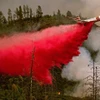 Mỹ: Công nghệ AI giúp ngăn ngừa thảm họa cháy rừng ở California