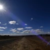 Nắng nóng gay gắt tại bang New South Wales, Australia. (Ảnh: AFP/TTXVN)