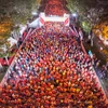 Giải Marathon Quốc tế Thành phố Hồ Chí Minh mùa thứ 6 tham dự 1.500 vận động viên tham gia. (Ảnh: PV/Vietnam+)