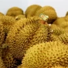 Sầu riêng xuất khẩu đi Trung Quốc. (Ảnh: Hồng Đạt/TTXVN)