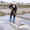 Diêm dân trên cánh đồng muối. (Nguồn: TTXVN)