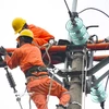 Nhân viên EVN bảo dưỡng các thiết bị điện. (Ảnh: evn)