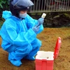 Chuẩn bị vaccine tiêm phòng bệnh chó dại. (Ảnh: Tá Chuyên/TTXVN)