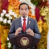 Tổng thống Indonesia Joko Widodo. (Ảnh: AFP/TTXVN)
