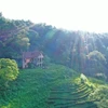 [Photo] Chiêm ngưỡng biệt thự đỏ huyền bí của Pháp ở Cao Bằng