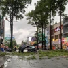 Chiều 14/7, một cây xanh lớn bị gió thổi bật gốc, đè lên xe ôtô trên đường Ngô Gia Tự, quận 10, Thành phố Hồ Chí Minh. (Ảnh: TTXVN phát)