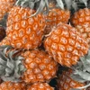 Dứa chứa nhiều vitamin và khoáng chất. (Ảnh: Lan Phương/Vietnam+)