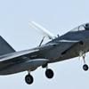 Máy bay chiến đấu F-15. (Ảnh: Kyodo/TTXVN)