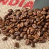 Ấn Độ là nhà trồng càphê lớn thứ 8 thế giới. (Nguồn: Coffee Intelligence)