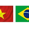 Việt Nam và Brazil chính thức thiết lập quan hệ ngoại giao ngày 8/5/1989. 