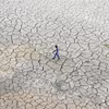 Lòng sông Ganges ở Prayagraj, Ấn Độ khô nứt nẻ do hạn hán kéo dài. (Ảnh: AFP/TTXVN)