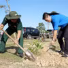 Trồng cây trên địa bàn huyện biên giới Tân Hồng, Đồng Tháp. (Ảnh: Nhựt An/TTXVN)