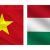 Quan hệ Việt Nam-Hungary phát triển tích cực kể từ khi hai bên nâng cấp quan hệ lên Đối tác Toàn diện năm 2018. (Nguồn: Vietnam+)