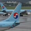 Máy bay của Hãng hàng không Korean Air đỗ tại sân bay Gimpo ở Seoul, Hàn Quốc. (Ảnh: AFP/TTXVN)