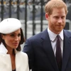 Hoàng tử Harry và vợ Meghan Markle tới một sự kiện ở London, Anh ngày 12/3/2018. (Nguồn: AFP/TTXVN) 