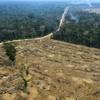 Một khoảng rừng Amazon bị thiêu rụi ở gần Porto Velho, bang Rondonia, Brazil, ngày 24/8/2019. (Ảnh: AFP/TTXVN) 