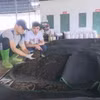 Sản suất phân bón hữu cơ tại Hợp tác xã Nông nghiệp Sơn La, huyện Mai Sơn, tỉnh Sơn La. (Ảnh: TTXVN phát)