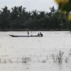 Nông dân huyện Vị Thủy (Hậu Giang) tận dụng đồng ngập nước để nuôi cá trên ruộng. (Ảnh: Hồng Thái/TTXVN)