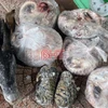 Tang vật thu giữ của Trần Anh Tuấn. (Nguồn: Báo Hà Tĩnh)