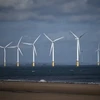 Một trang trại gió ngoài khơi bờ biển Redcar, Anh. (Ảnh: AFP/TTXVN)